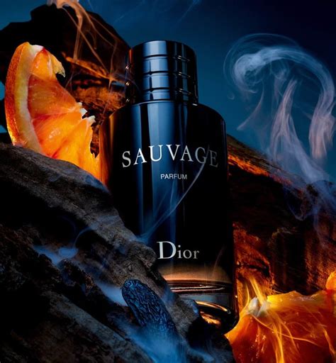 dior 香水推薦